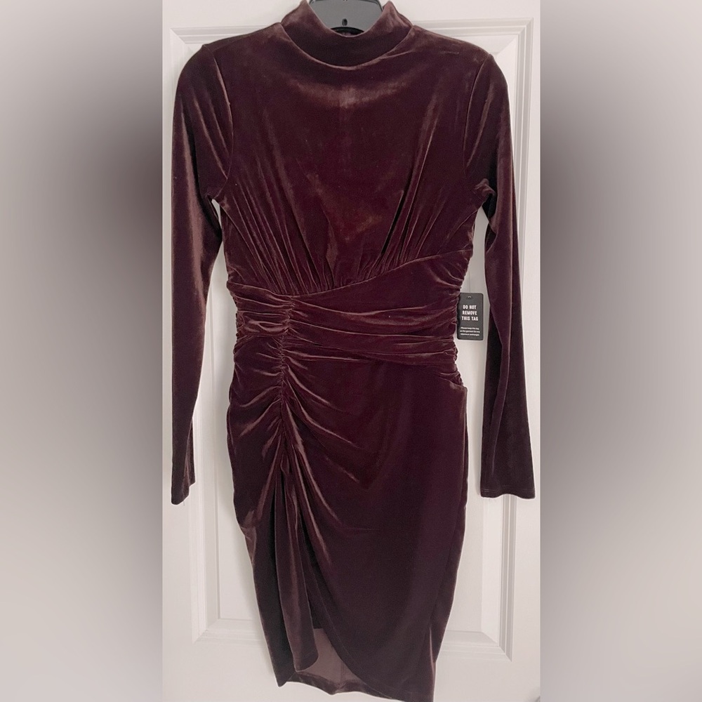 Express Velvet Dress